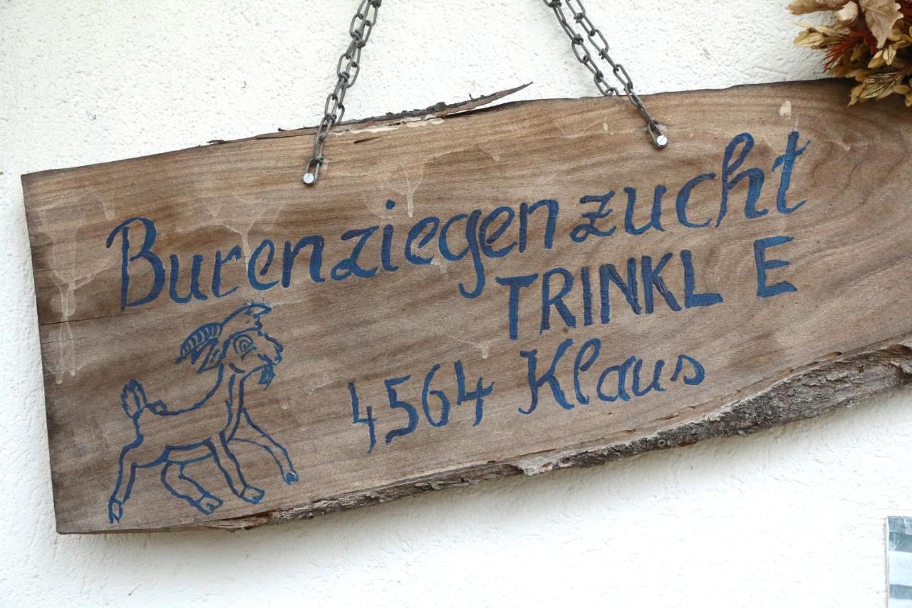Hof Zur Steinwaend Bed and Breakfast Micheldorf in Oberösterreich Exteriör bild