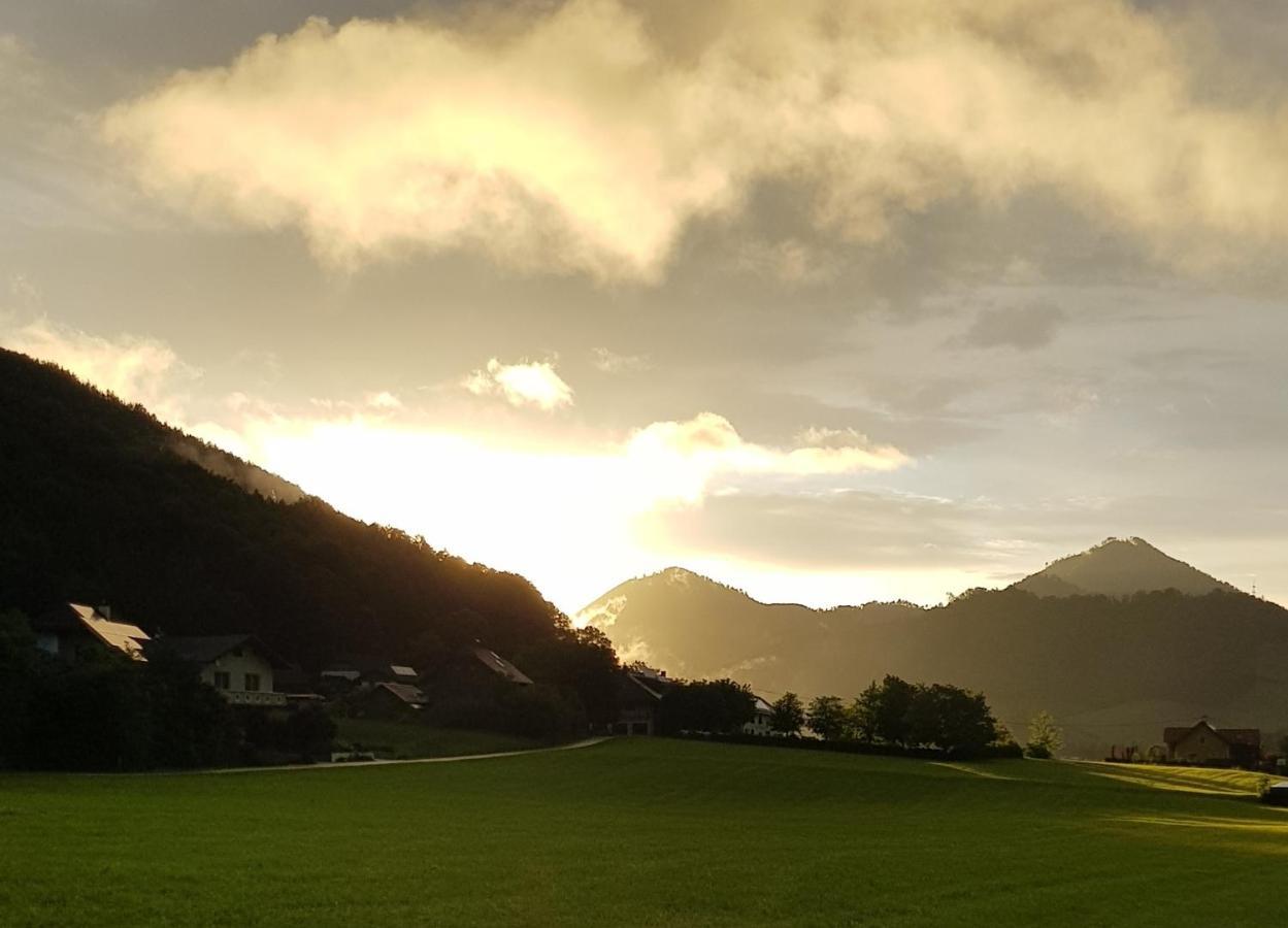 Hof Zur Steinwaend Bed and Breakfast Micheldorf in Oberösterreich Exteriör bild