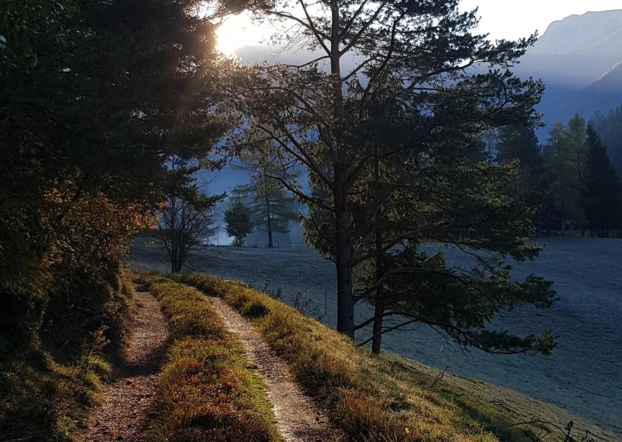 Hof Zur Steinwaend Bed and Breakfast Micheldorf in Oberösterreich Exteriör bild