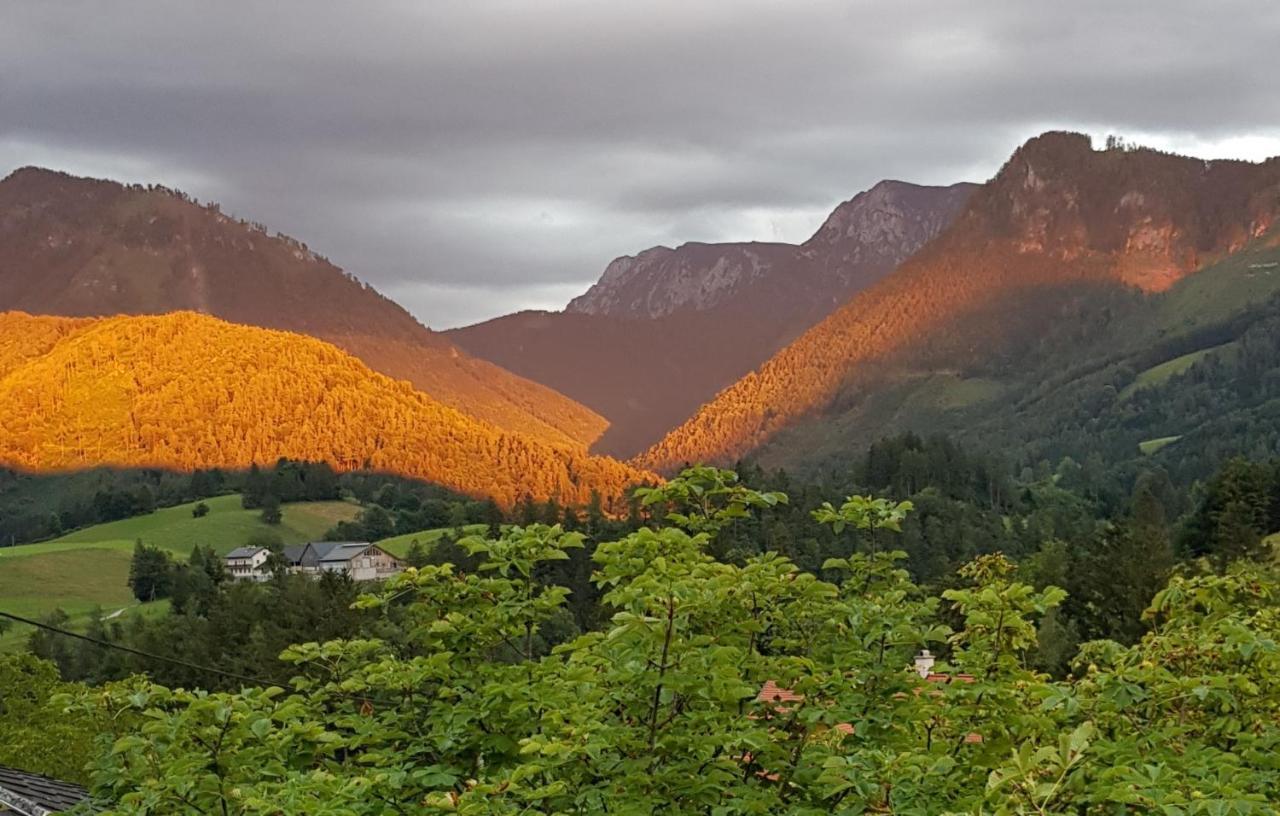 Hof Zur Steinwaend Bed and Breakfast Micheldorf in Oberösterreich Exteriör bild